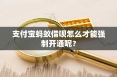 支付宝蚂蚁借呗怎么才能