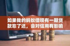 如果我的蚂蚁借呗有一期