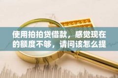 使用拍拍贷借款，感觉现