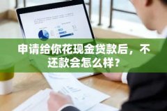 申请给你花现金贷款后，