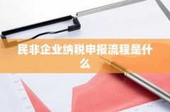 民非企业纳税申报流程是