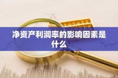 净资产利润率的影响因素