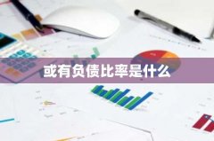 或有负债比率是什么