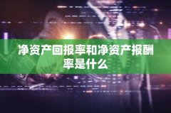净资产回报率和净资产报