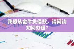 我想从金牛贷借款，请问