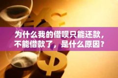 为什么我的借呗只能还款