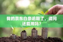 我的京东白条逾期了，请