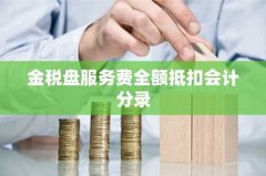 金税盘服务费全额抵扣会