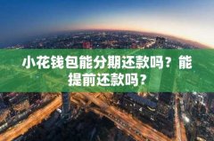 小花钱包能分期还款吗？