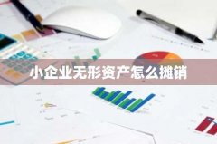 小企业无形资产怎么摊销