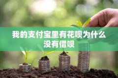 我的支付宝里有花呗为什