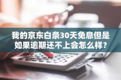 我的京东白条30天免息但是