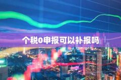 个税0申报可以补报吗