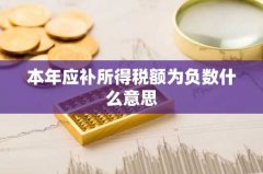 本年应补所得税额为负数