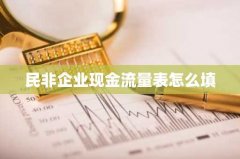 民非企业现金流量表怎么