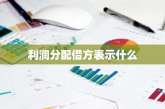 利润分配借方表示什么