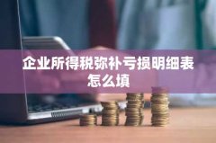 企业所得税弥补亏损明细