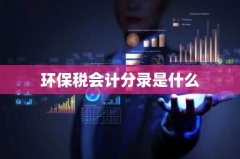 环保税会计分录是什么